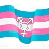 🍃✨🏳‍Grupo trans🏳‍⚧✨🍃